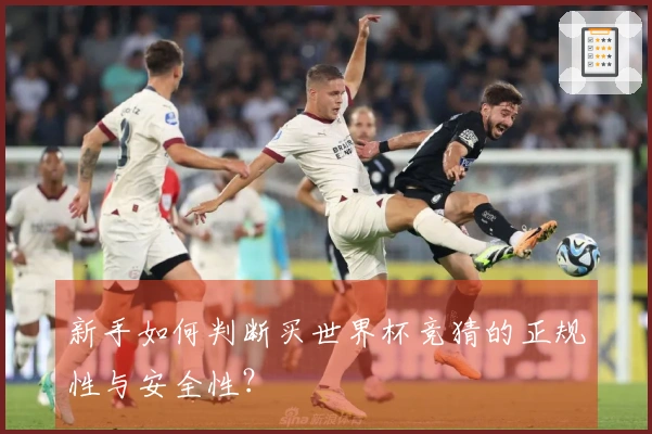 新手如何判断买世界杯竞猜的正规性与安全性？