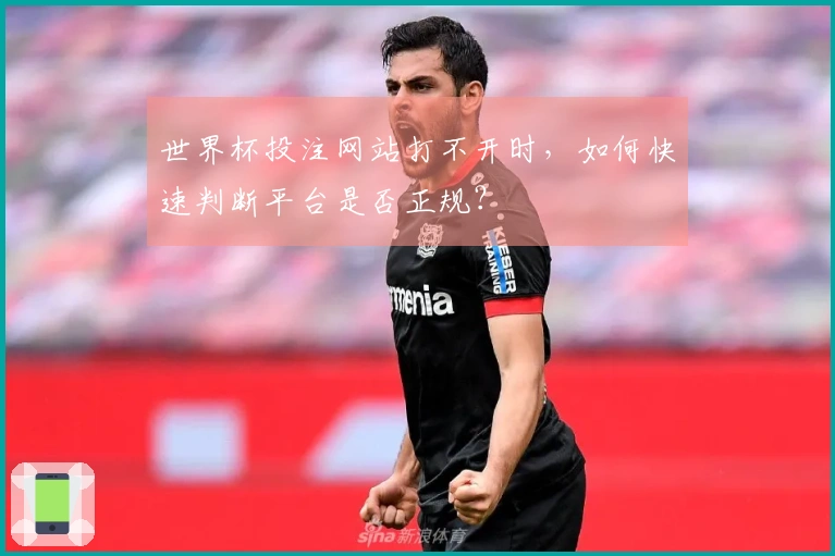 世界杯投注网站打不开时，如何快速判断平台是否正规？